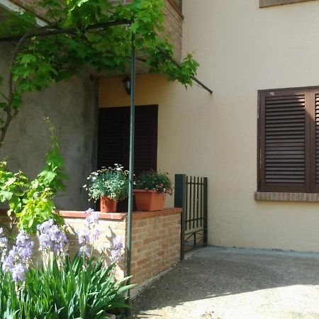 Appartamento In Collina "La Perla" Riparbella Exterior foto